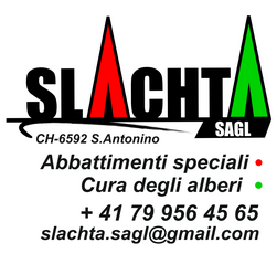 imgi_21_immagine-2025-06-14-195635